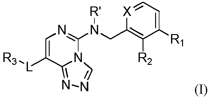 Figure imgb0224