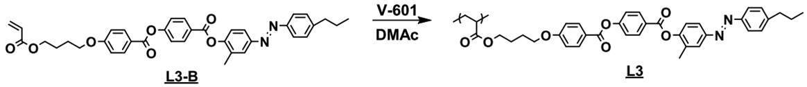 Figure JPOXMLDOC01-appb-C000017