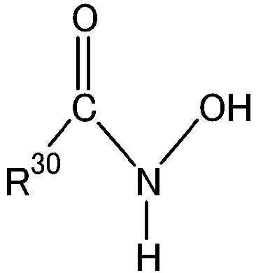 Figure imgb0031