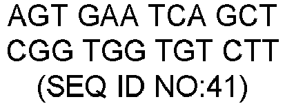Figure imgb0041
