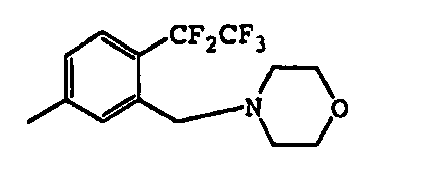 Figure imgb0499