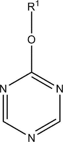 Figure JPOXMLDOC01-appb-C000007