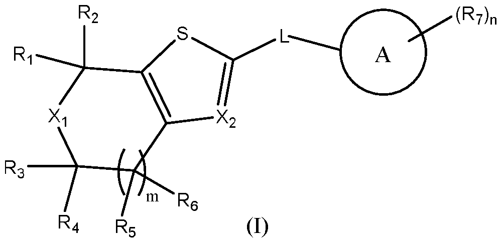 Figure imgf000011_0001