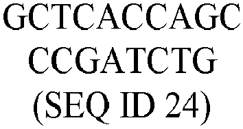 Figure imgb0002