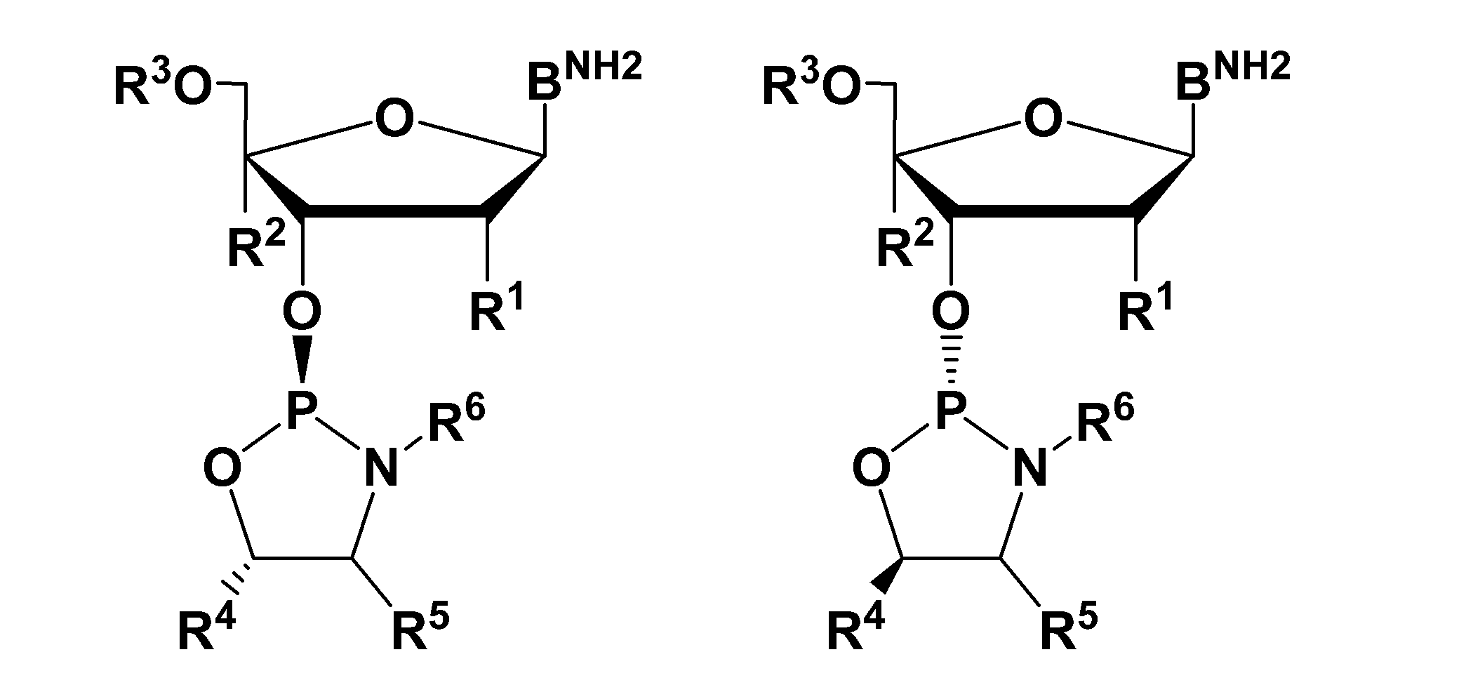 Figure JPOXMLDOC01-appb-C000024