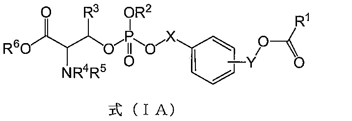 Figure JPOXMLDOC01-appb-C000006