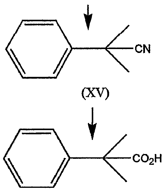 Figure imgf000019_0004