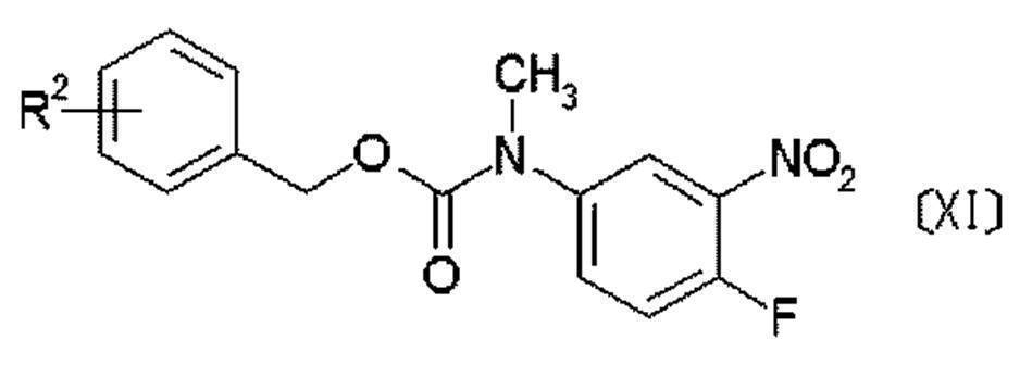 Figure JPOXMLDOC01-appb-C000043