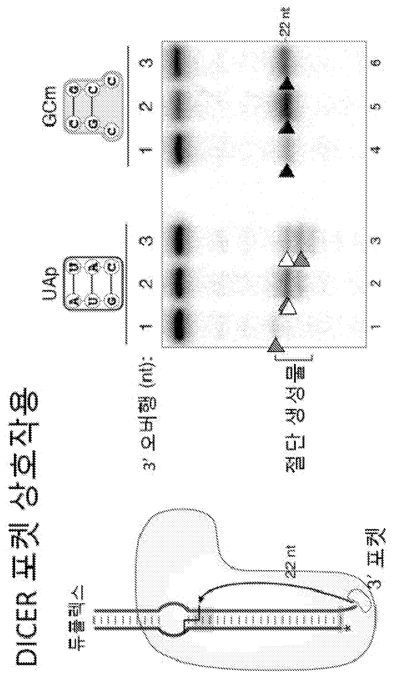 특허 도면 86
