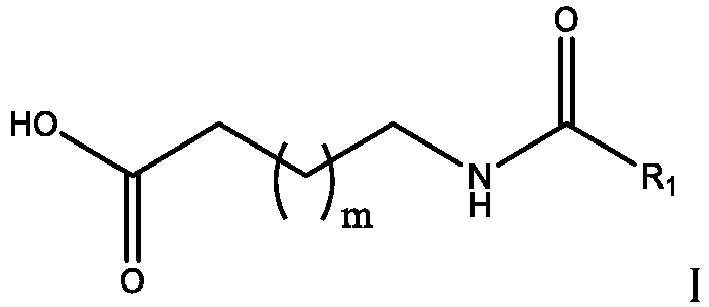 Figure imgb0024