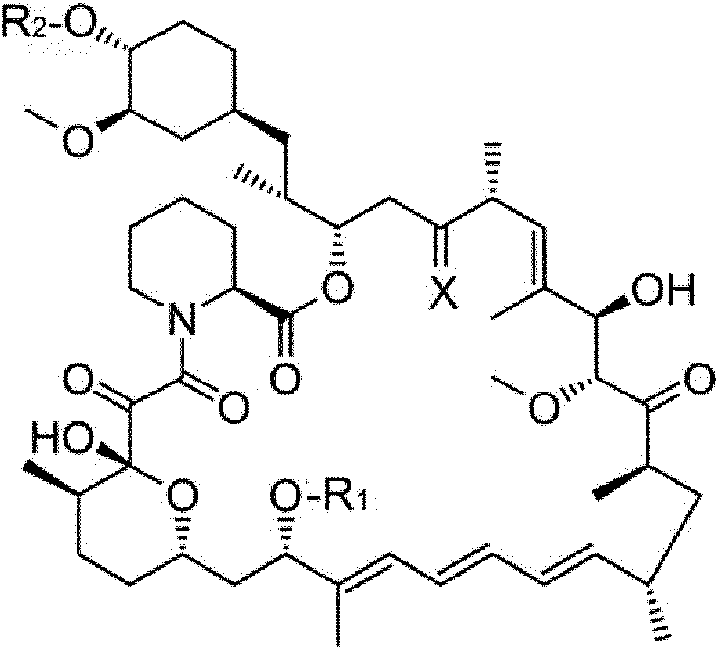 Figure imgf000002_0001