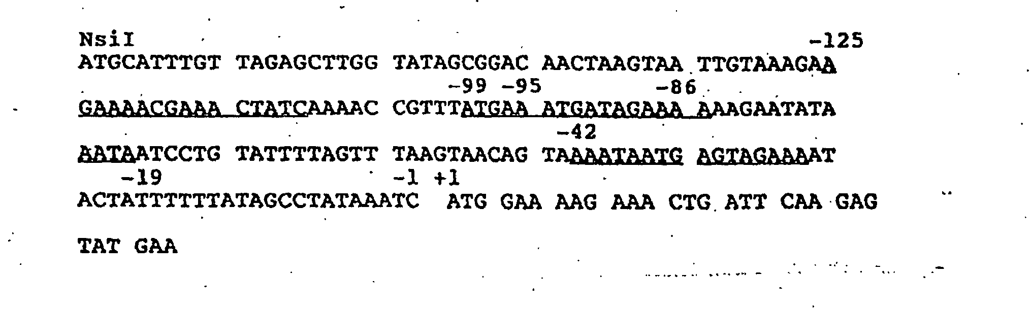 Figure 00540002