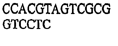 Figure imgb0056