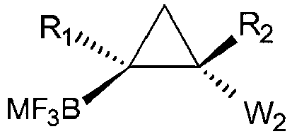 Figure imgb0305