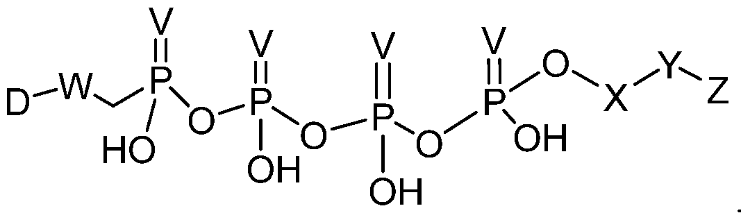 Figure imgf000053_0003