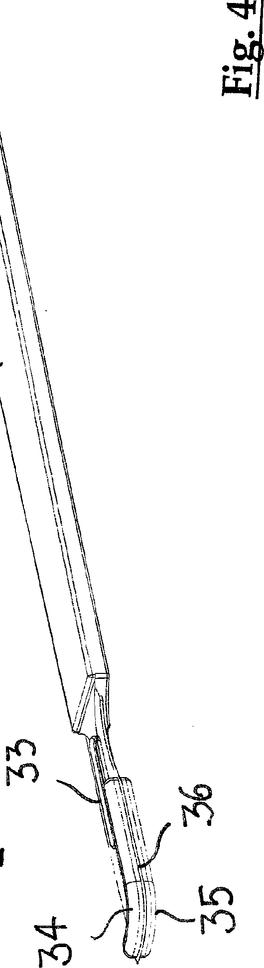 Figure CH715187A2_C0004