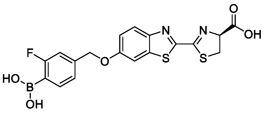 Figure imgf000009_0002