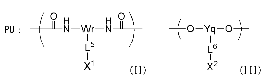 Figure JPOXMLDOC01-appb-C000002
