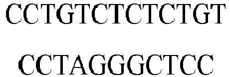 Figure imgb0102