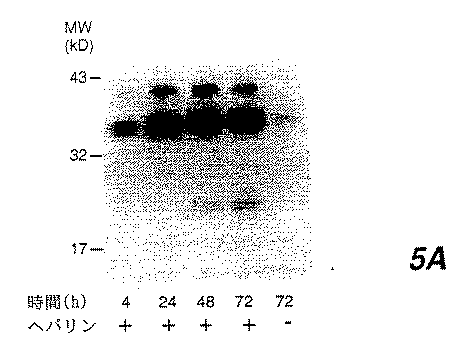 Figure 0004863548