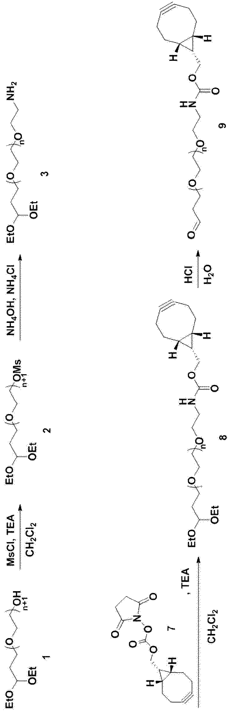 Figure imgb0077