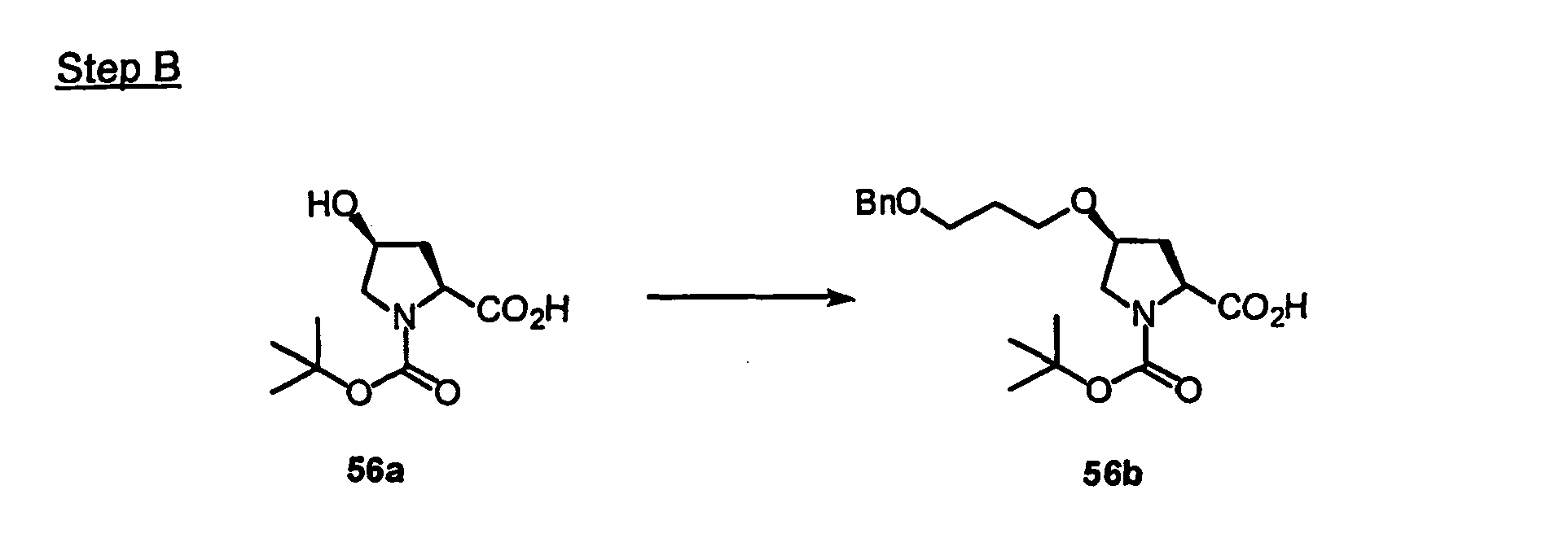 Figure imgb0561