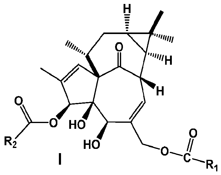 Figure imgf000036_0001