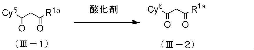 Figure JPOXMLDOC01-appb-C000021