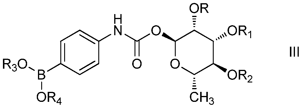 Figure imgf000003_0002