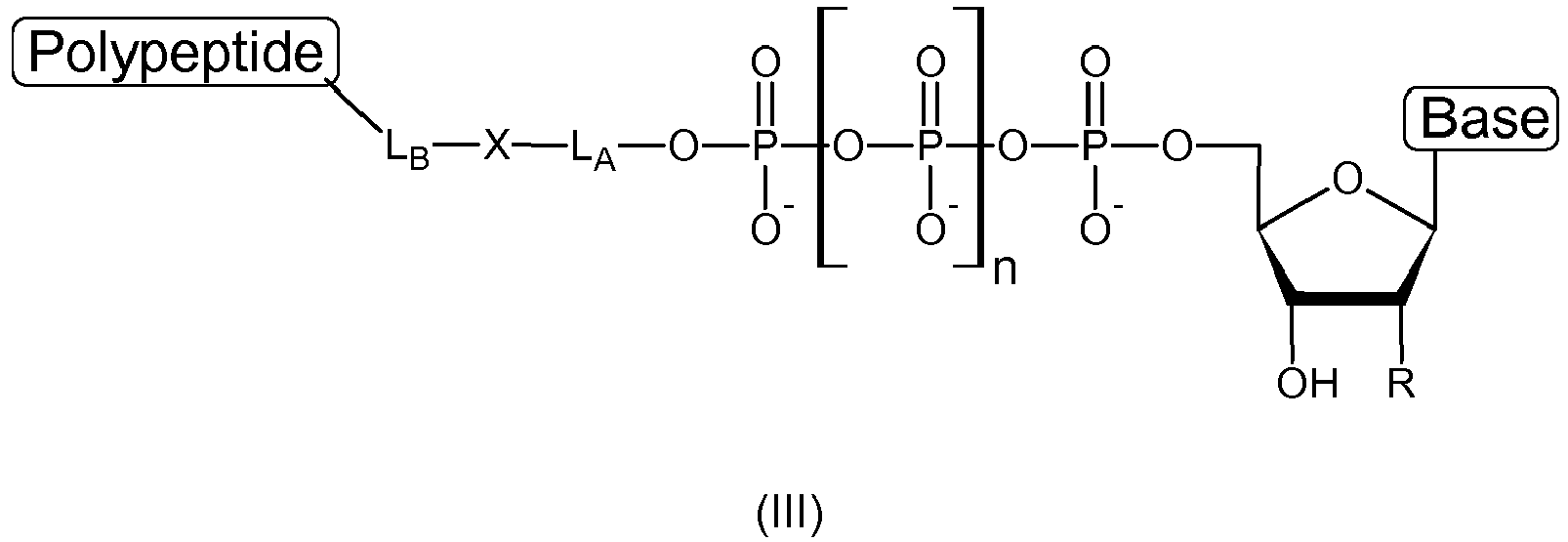 Figure imgb0004