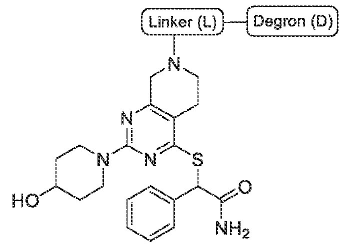 Figure imgf000017_0001