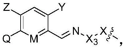 CN113105405B - 一种羧酸衍生物取代的亚氨基芳基化合物及其制备方法