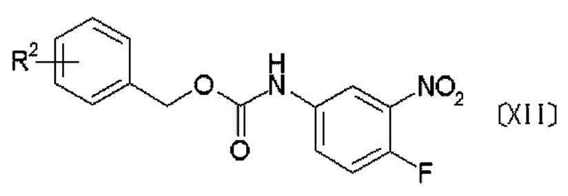 Figure JPOXMLDOC01-appb-C000052