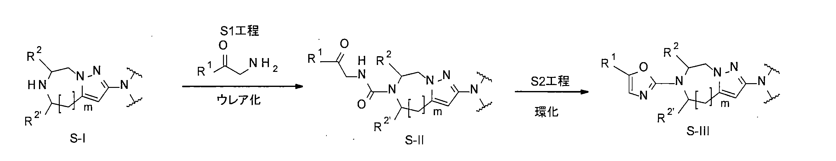 Figure JPOXMLDOC01-appb-C000046