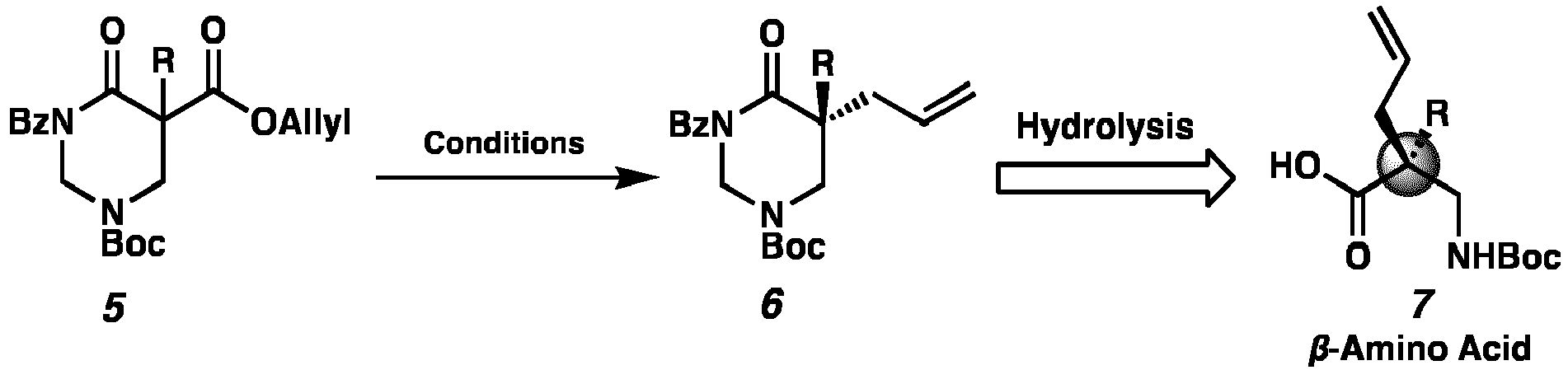 Figure imgb0216