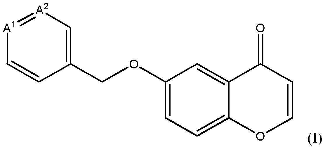 Figure imgf000004_0001
