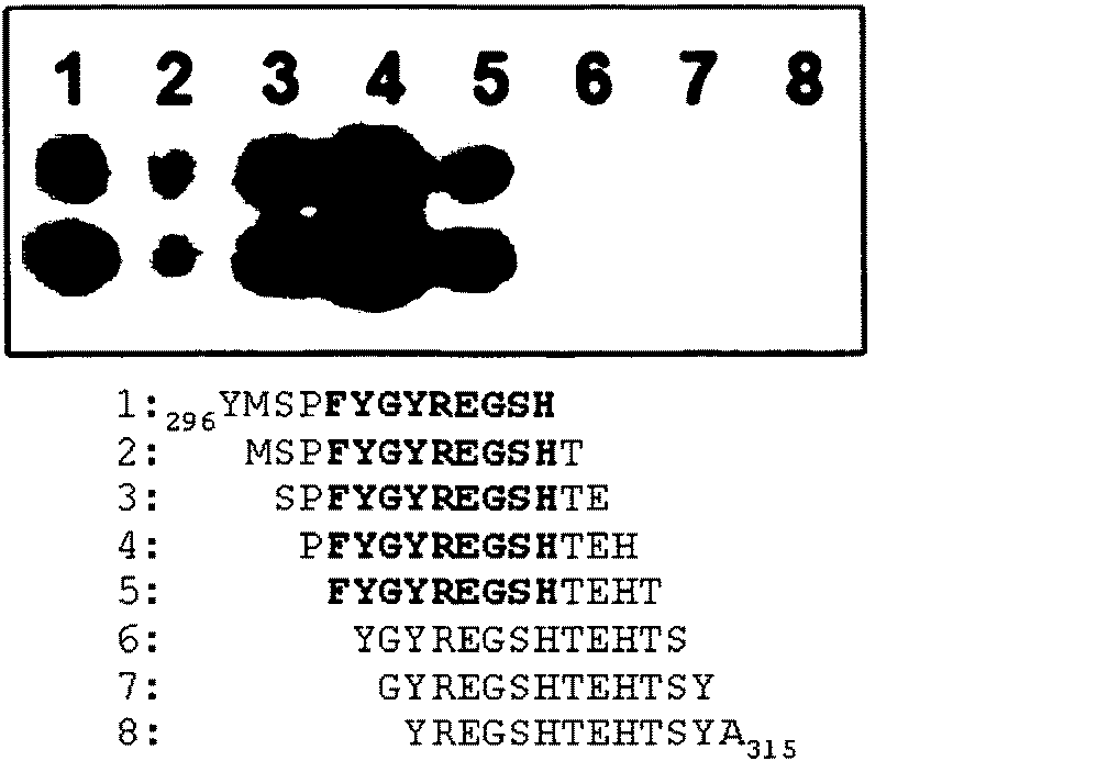 Jp2016147870a 抗hsv抗体 Google Patents