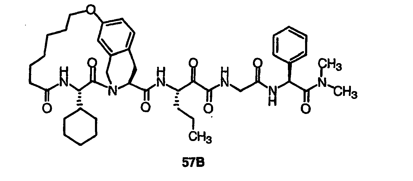 Figure imgb0101