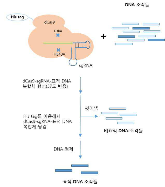 특허 도면 11