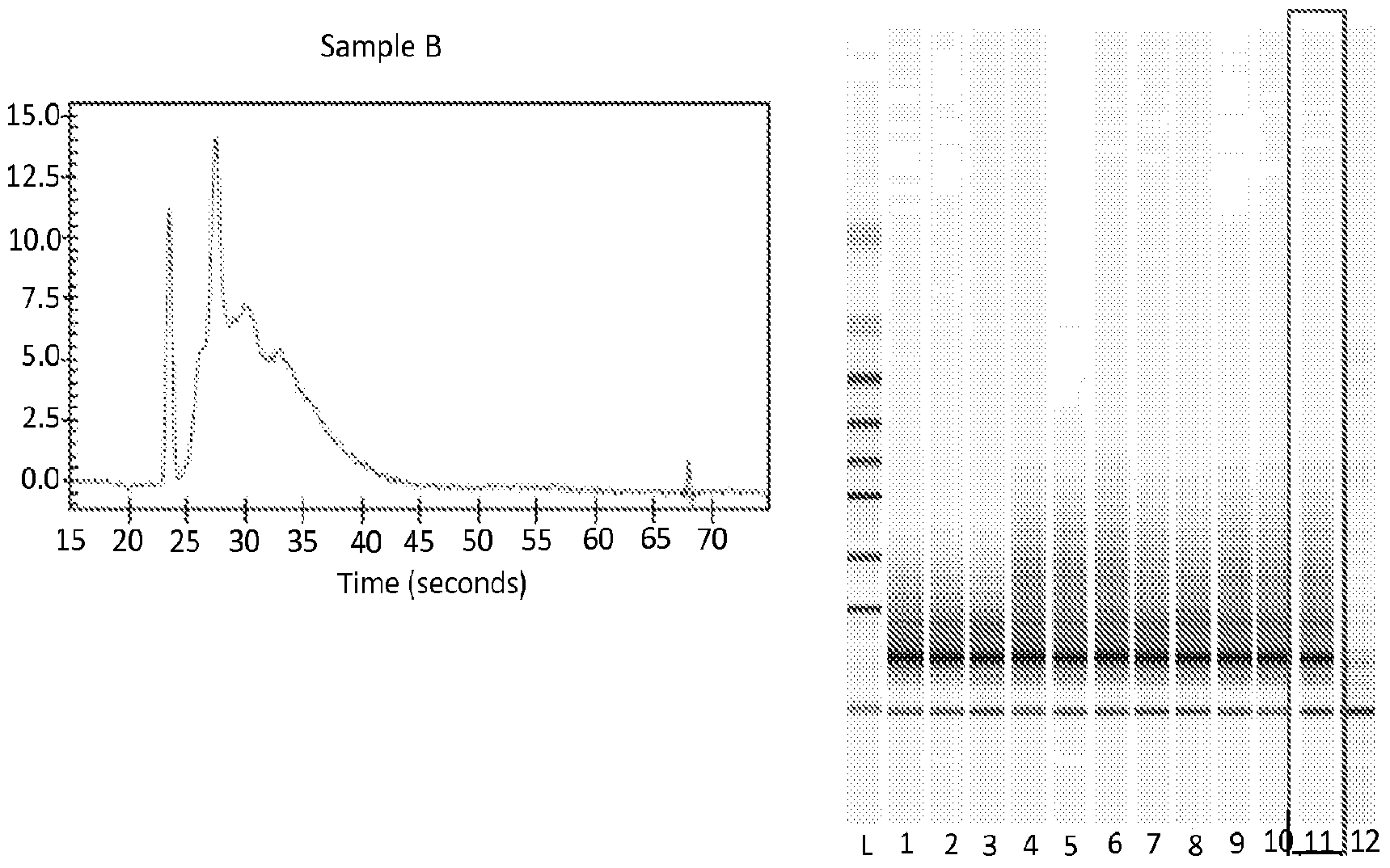 Figure imgf000053_0002