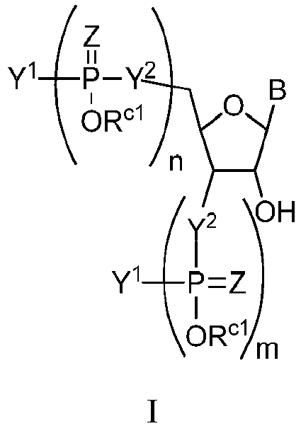 Figure imgb0093