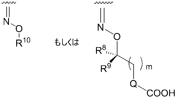 Figure JPOXMLDOC01-appb-C000010