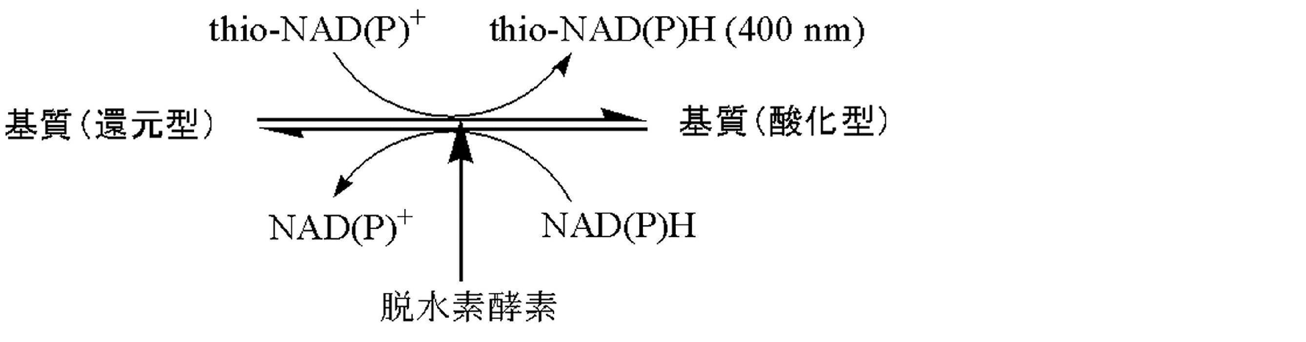 Figure JPOXMLDOC01-appb-C000021