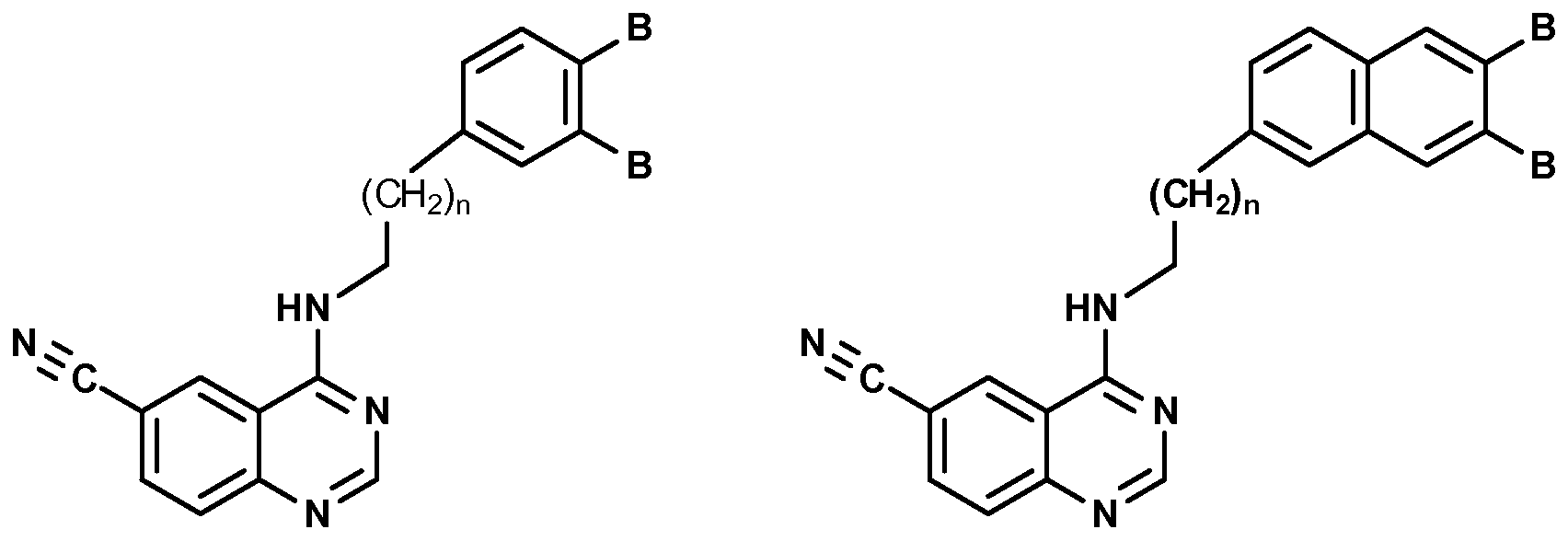 Figure imgf000005_0001