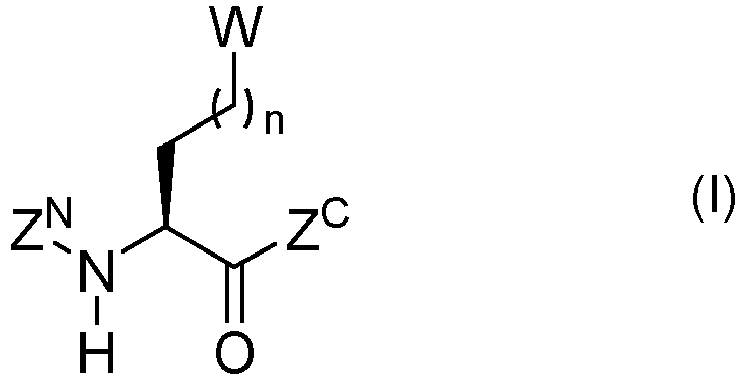 Figure imgb0652