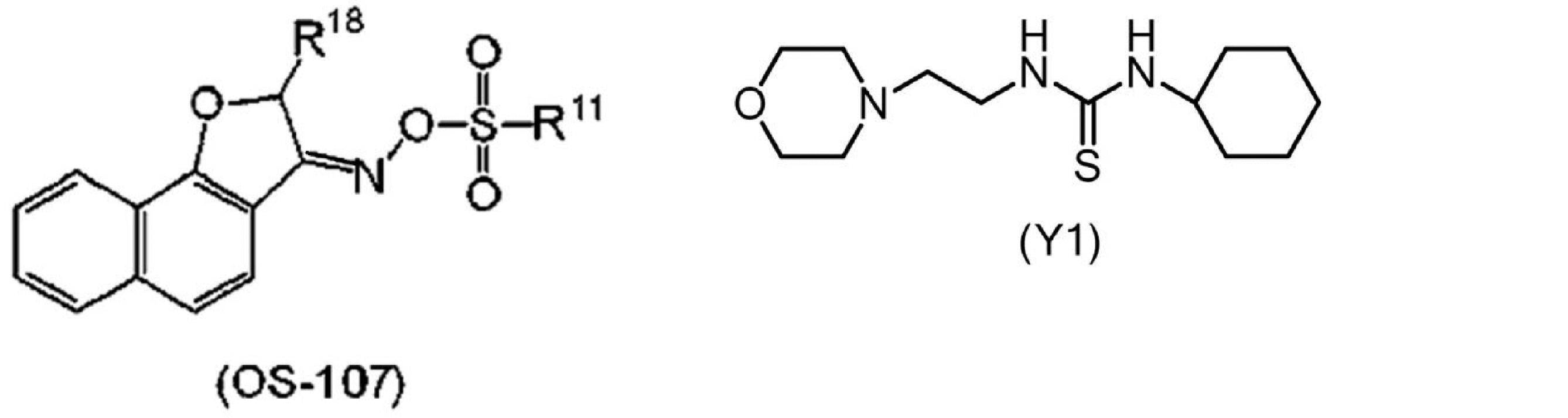 Figure JPOXMLDOC01-appb-C000029