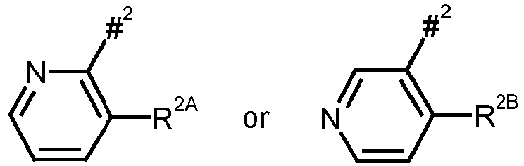Figure imgb0064