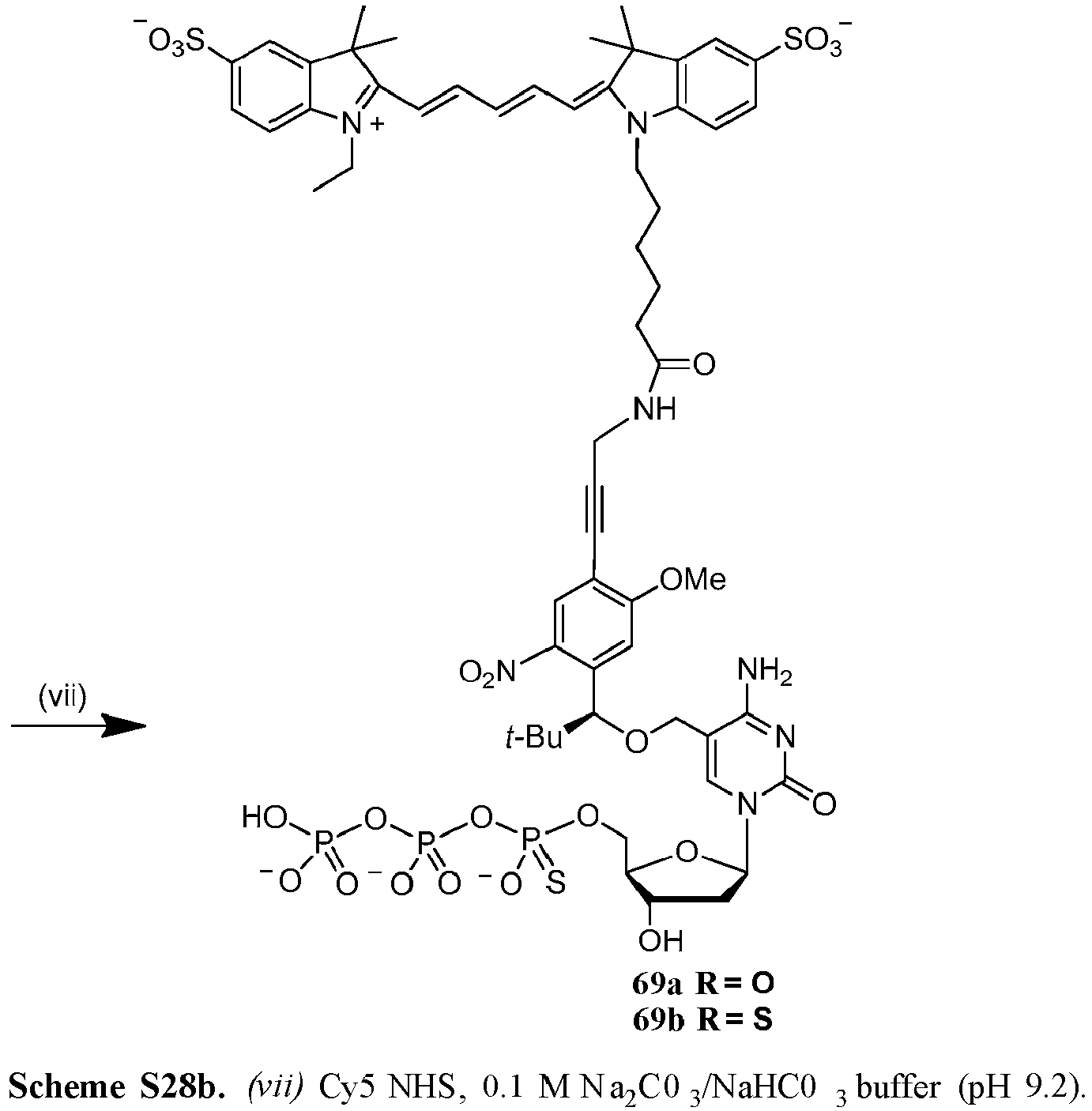Figure imgb0124