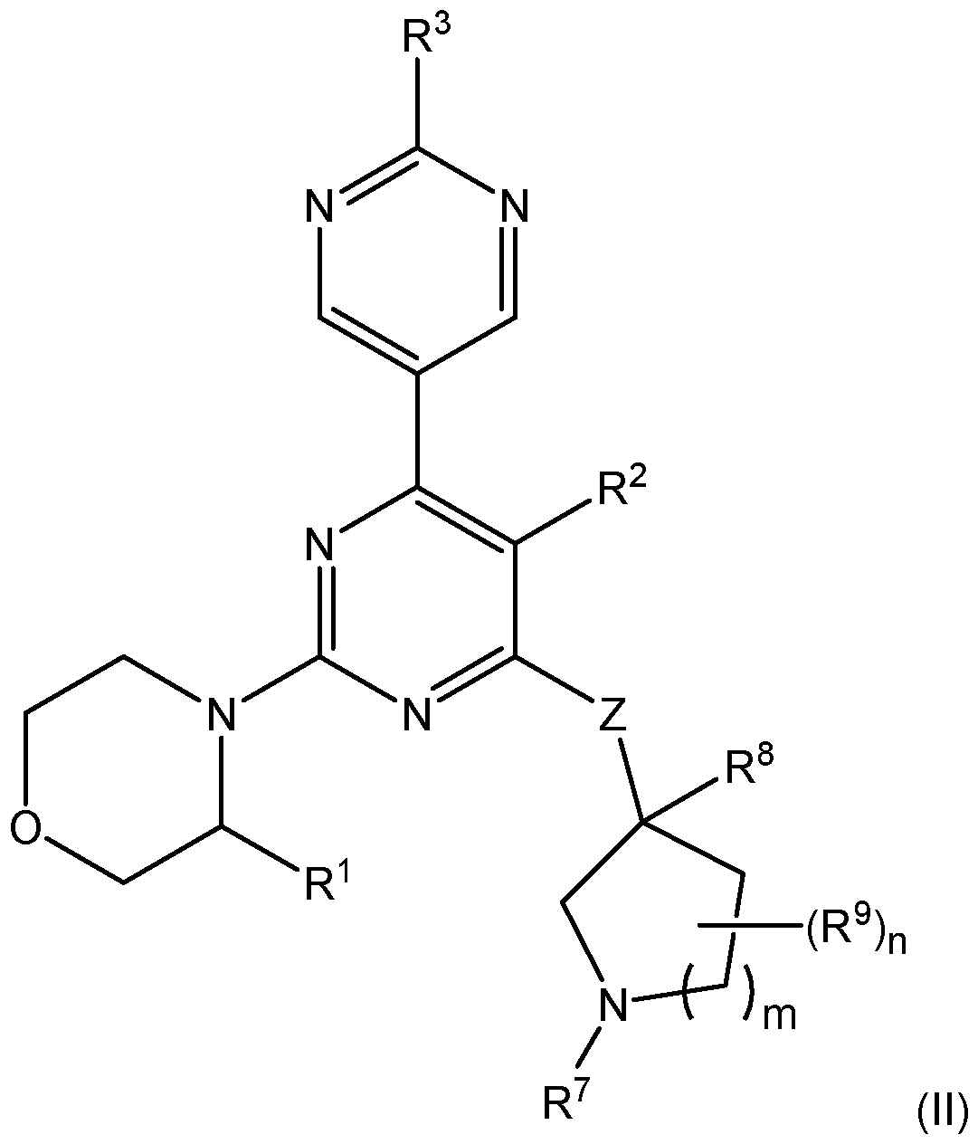 Figure imgf000009_0001