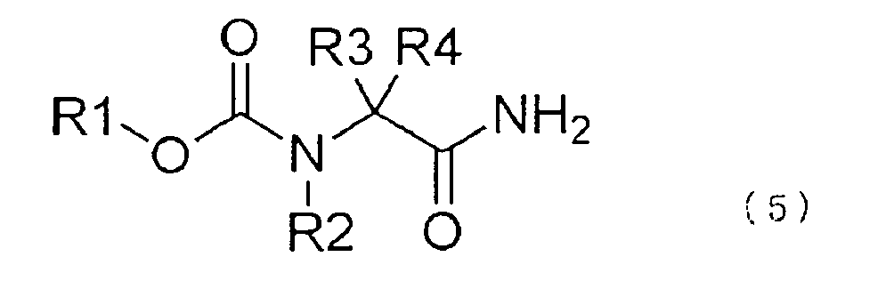 Figure imgb0005